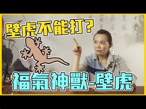 房間出現壁虎代表什麼|在風水學中：家裡進壁虎是什麼寓意？4種預兆要「小心」了